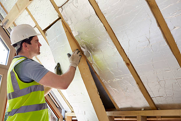 Best Cellulose Insulation in Surfside Beach, SC