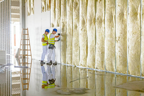 Best Specialized Insulation Services in Surfside Beach, SC